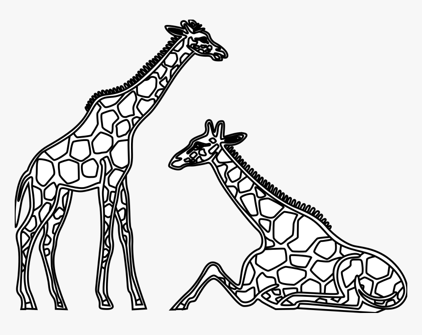 Detail Gambar Giraffe Nomer 26