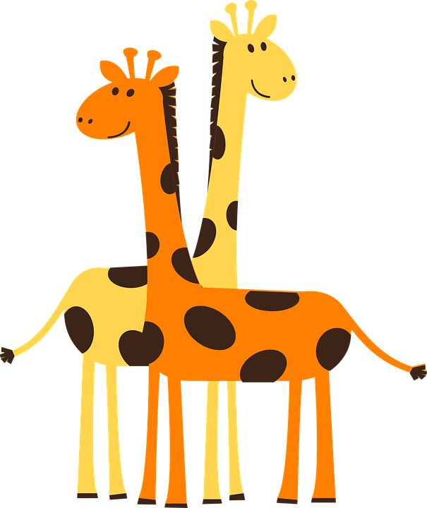 Detail Gambar Giraffe Nomer 3
