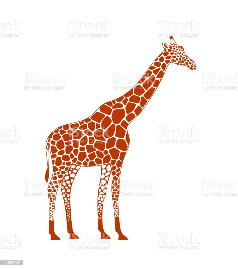 Detail Gambar Giraffe Nomer 32