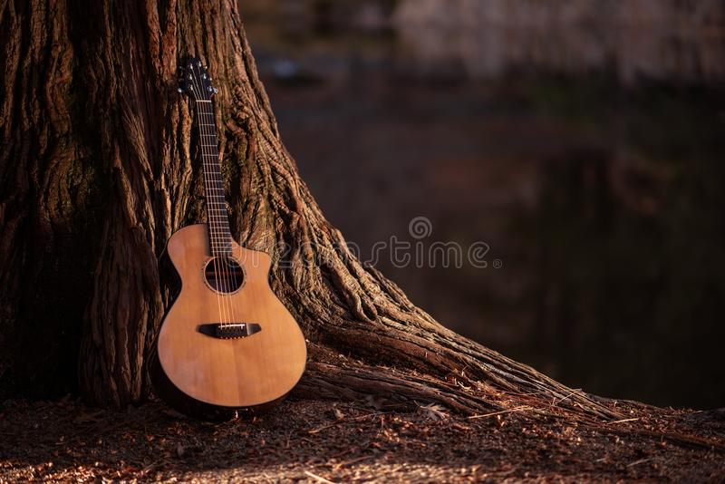 Detail Gambar Gitar Akustik Photography Nomer 8