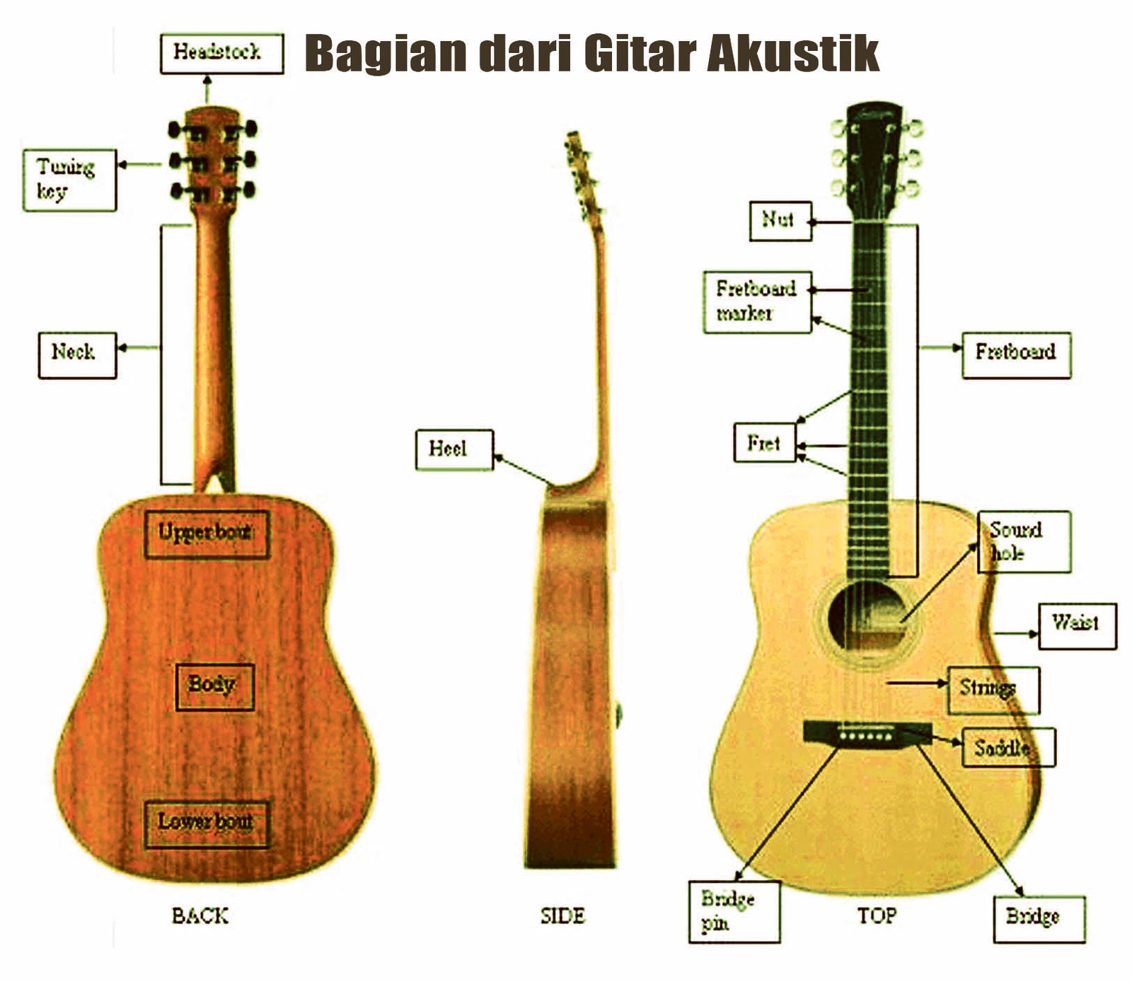 Detail Gambar Gitar Dan Bagian Bagiannya Nomer 11