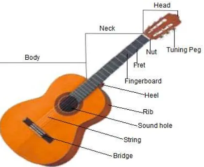 Detail Gambar Gitar Dan Bagian Bagiannya Nomer 45