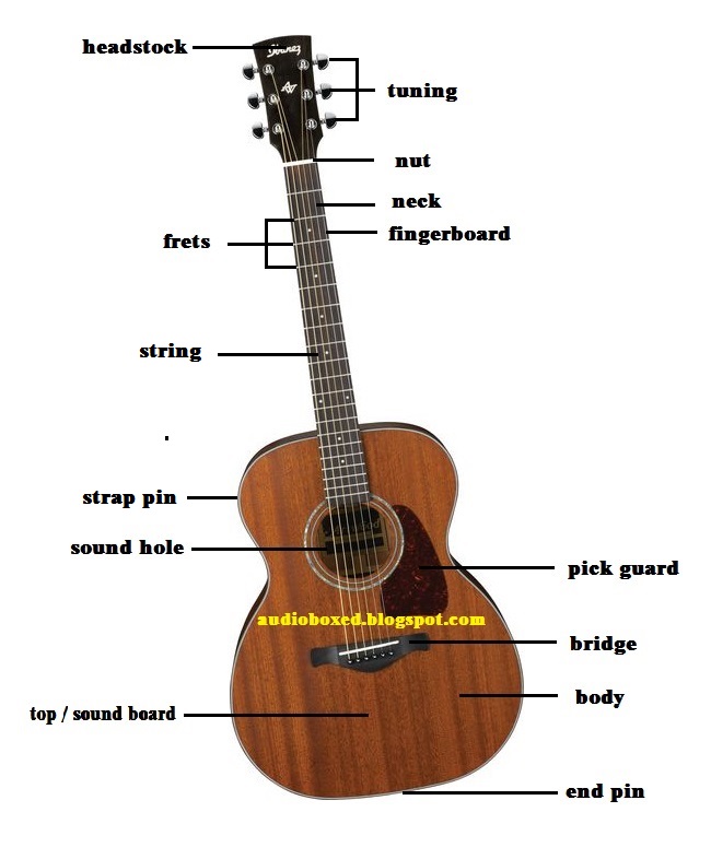 Gambar Gitar Dan Bagiannya - KibrisPDR