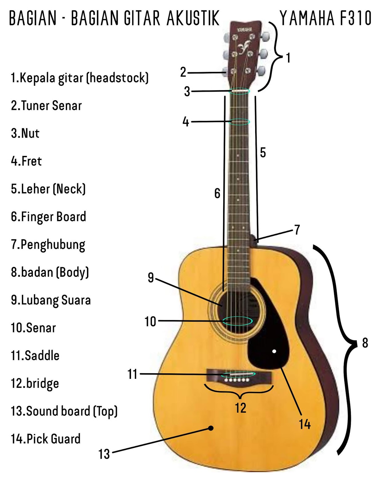 Detail Gambar Gitar Dan Bagiannya Nomer 2