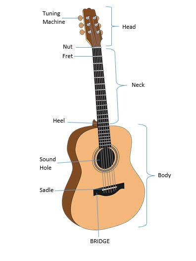 Detail Gambar Gitar Dan Bagiannya Nomer 13