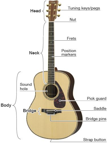 Detail Gambar Gitar Dan Bagiannya Nomer 4