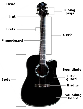 Detail Gambar Gitar Dan Bagiannya Nomer 8