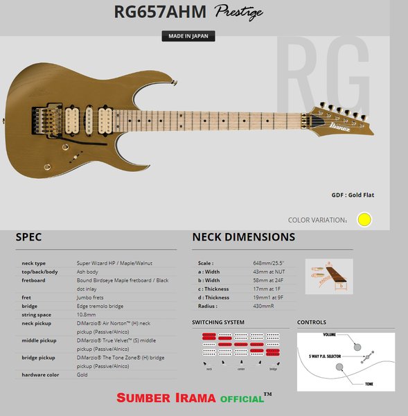 Detail Gambar Gitar Elektrik Ibanez Nomer 54