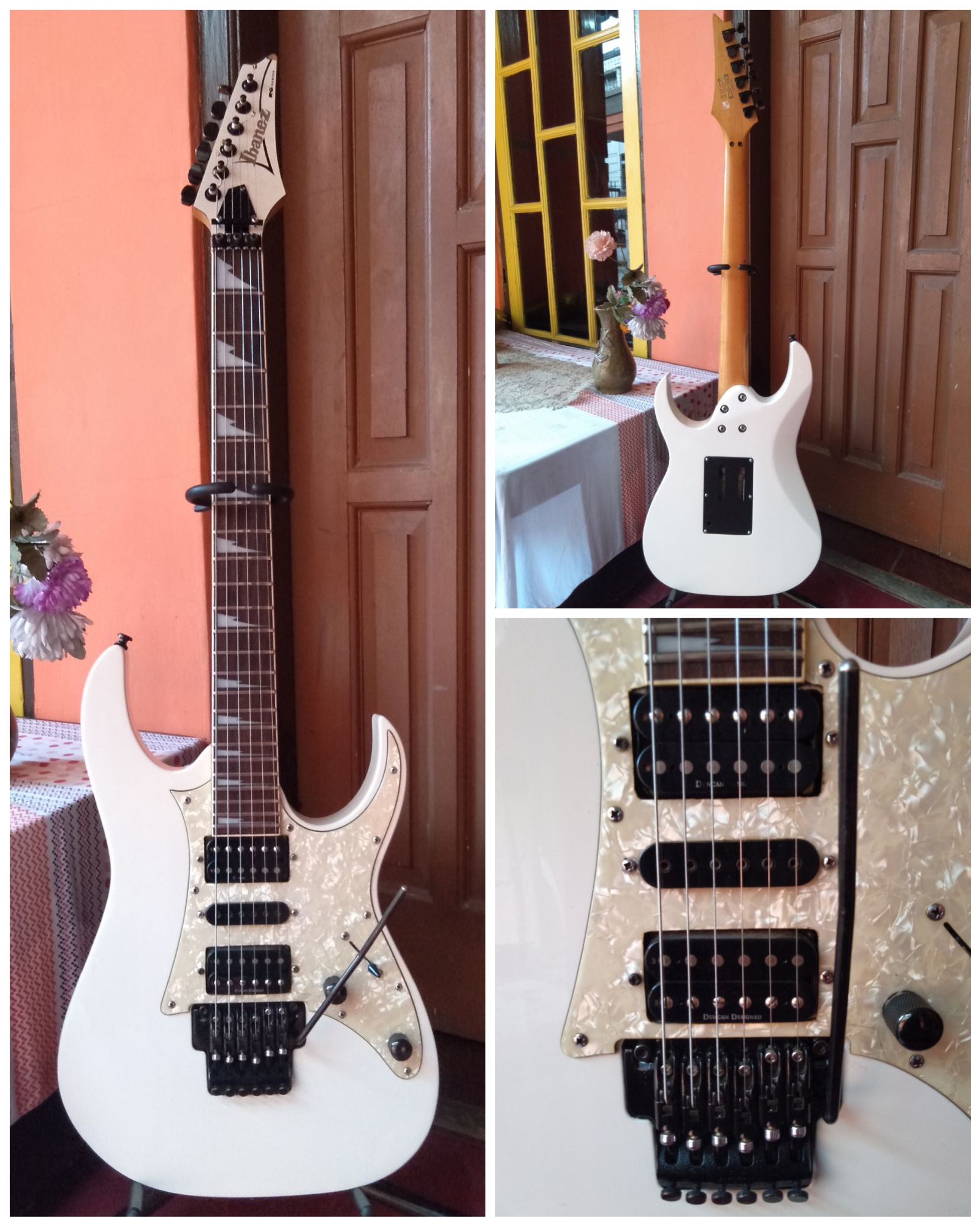 Detail Gambar Gitar Ibanez Rg Nomer 26