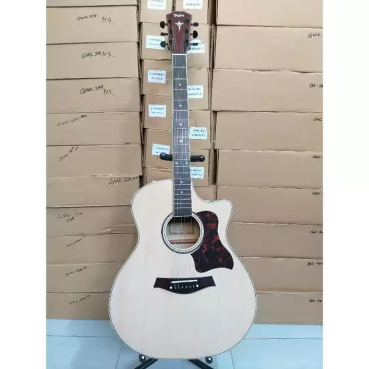 Detail Gambar Gitar Taylor Akustik Nomer 11