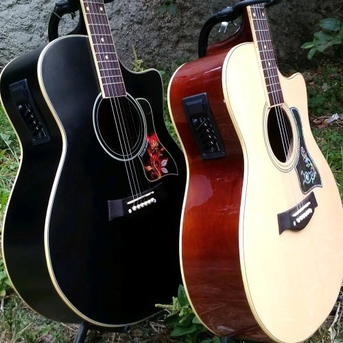 Detail Gambar Gitar Taylor Akustik Nomer 21