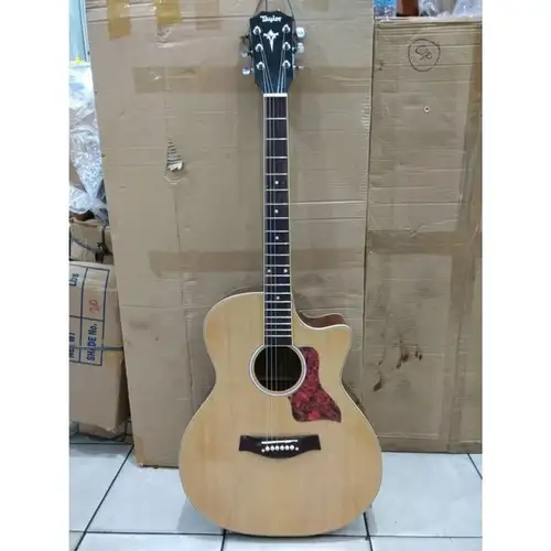 Detail Gambar Gitar Taylor Akustik Nomer 28