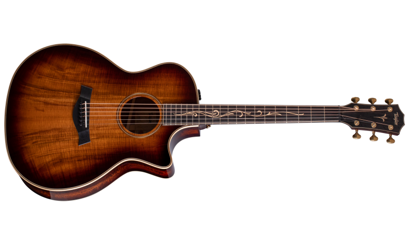 Detail Gambar Gitar Taylor Akustik Nomer 6