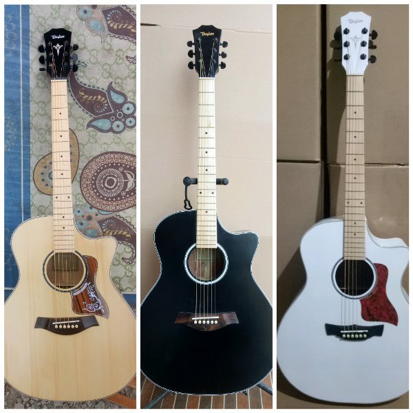 Detail Gambar Gitar Taylor Akustik Nomer 51