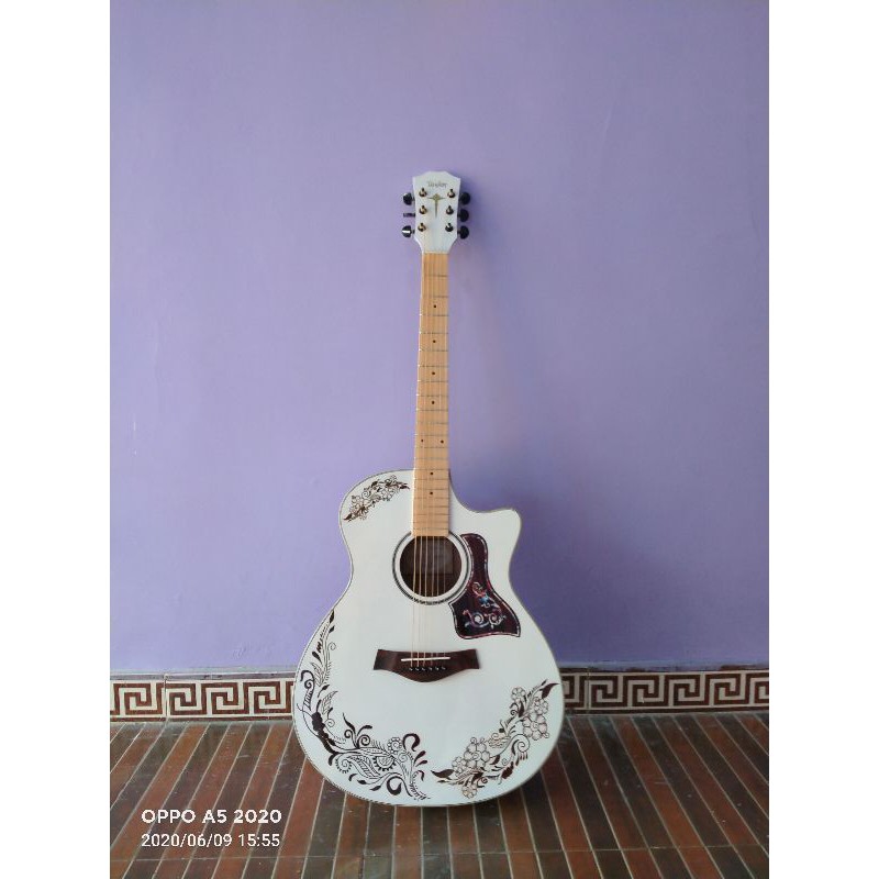 Detail Gambar Gitar Taylor Akustik Nomer 57