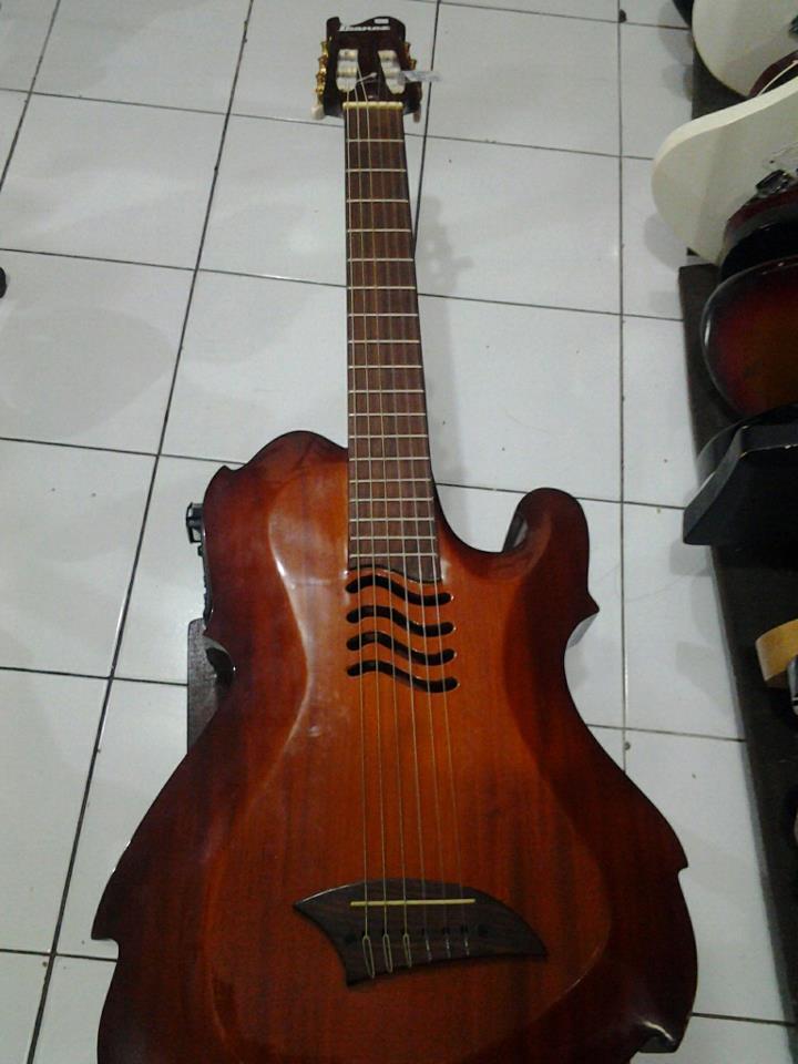 Detail Gambar Gitar Unik Nomer 24