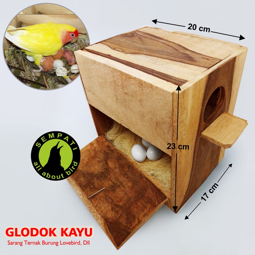 Detail Gambar Glodok Lovebird Nomer 2