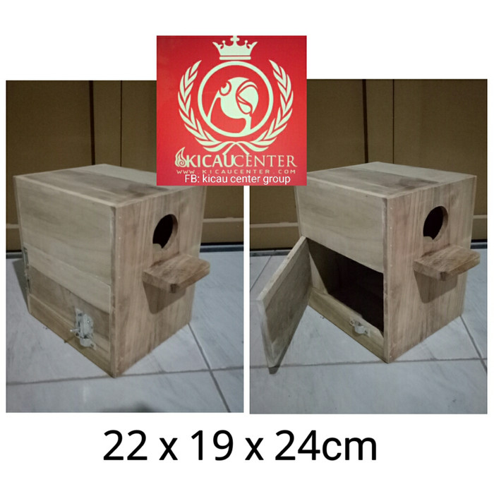 Detail Gambar Glodok Lovebird Nomer 47