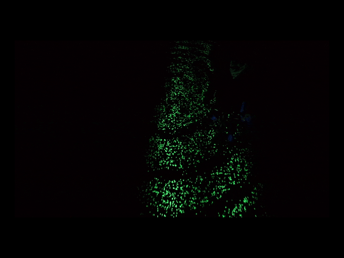 Detail Gambar Glow In The Dark Nomer 8