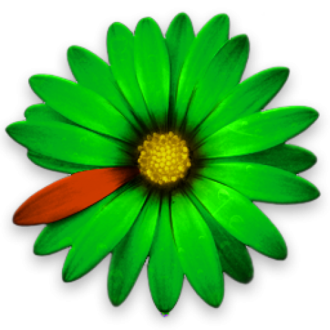 Detail Icq Logo Nomer 21