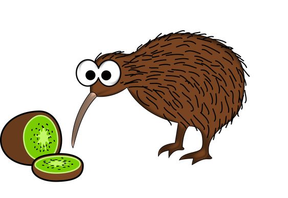 Detail Kiwi Vogel Cartoon Nomer 2