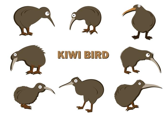 Detail Kiwi Vogel Cartoon Nomer 4