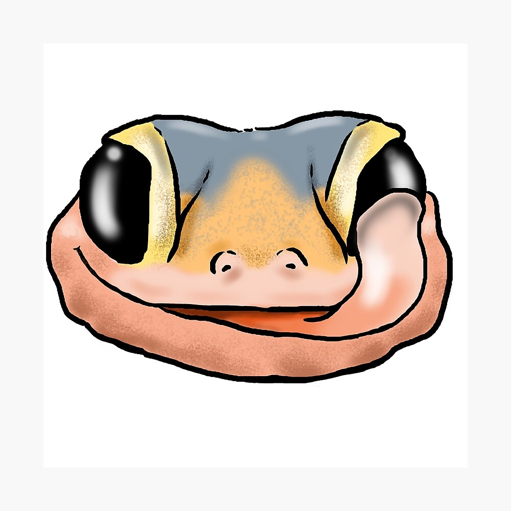 Leopardgecko Zeichnen - KibrisPDR