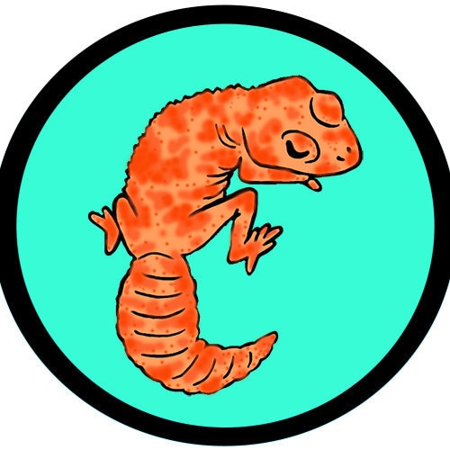 Detail Leopardgecko Zeichnen Nomer 19
