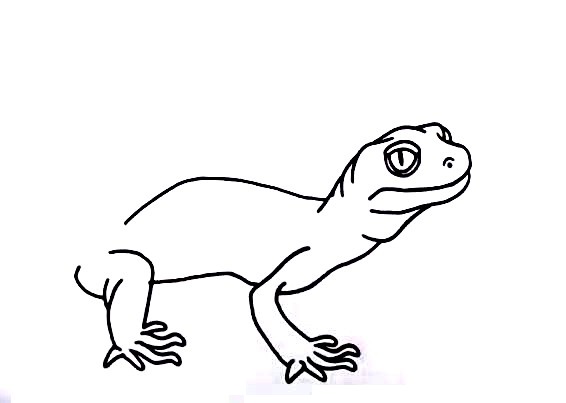Detail Leopardgecko Zeichnen Nomer 3
