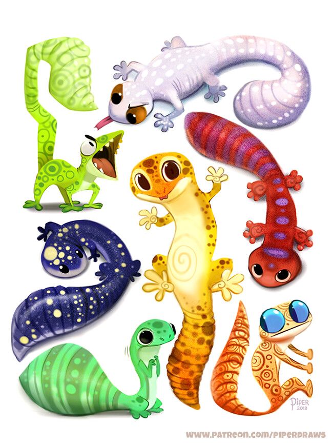 Detail Leopardgecko Zeichnen Nomer 6