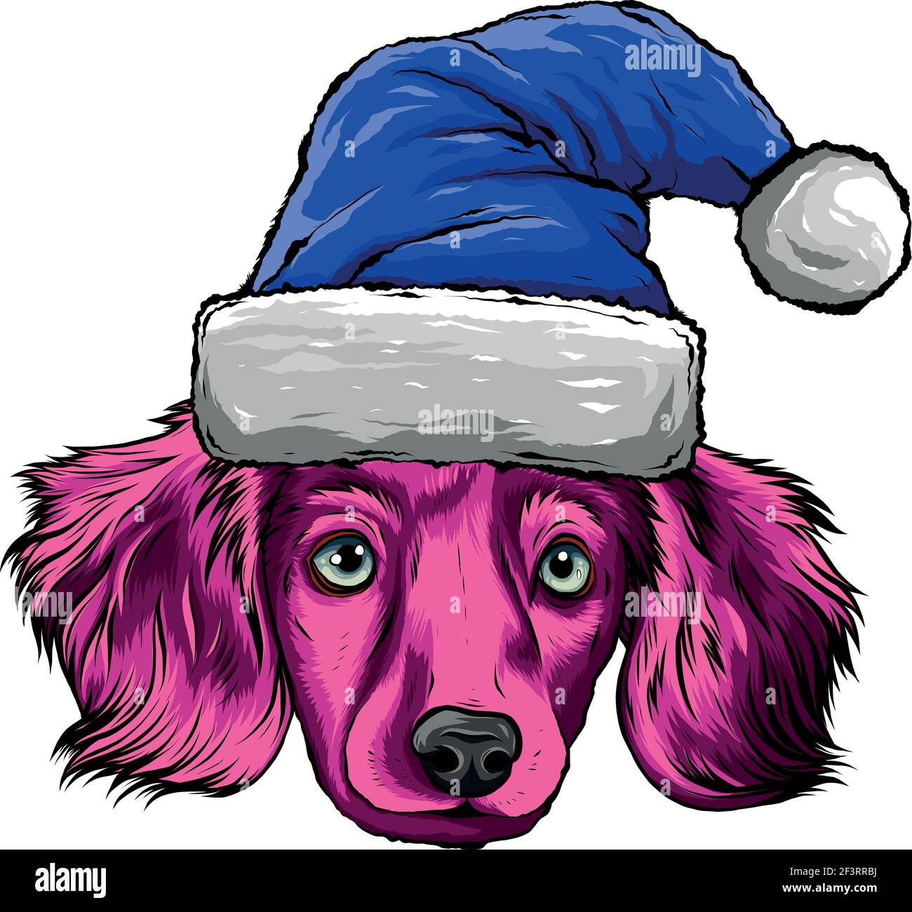 Perro Con Gorro De Navidad - KibrisPDR