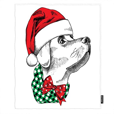 Detail Perro Con Gorro De Navidad Nomer 8