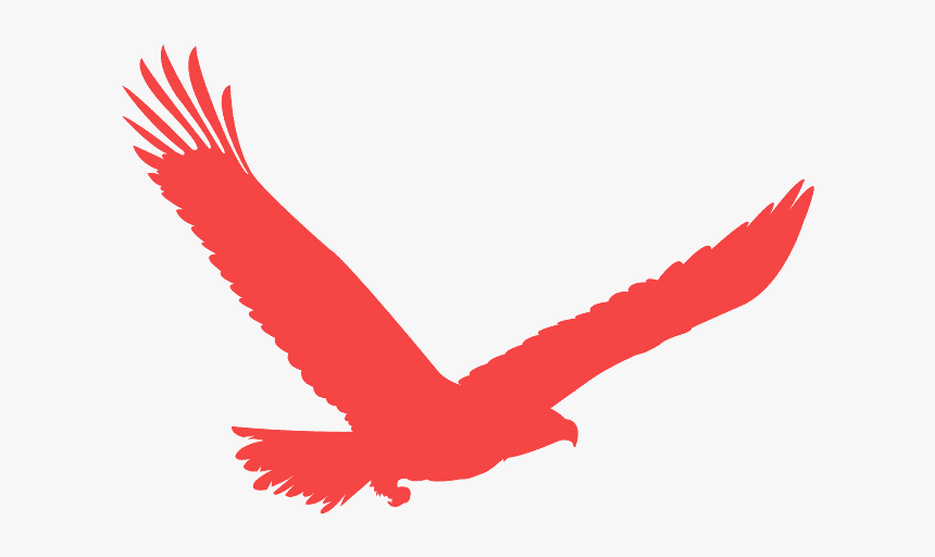 Detail Red Eagle Images Nomer 2