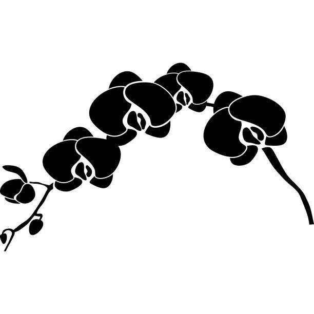 Detail Tapete Orchidee Muster Nomer 28