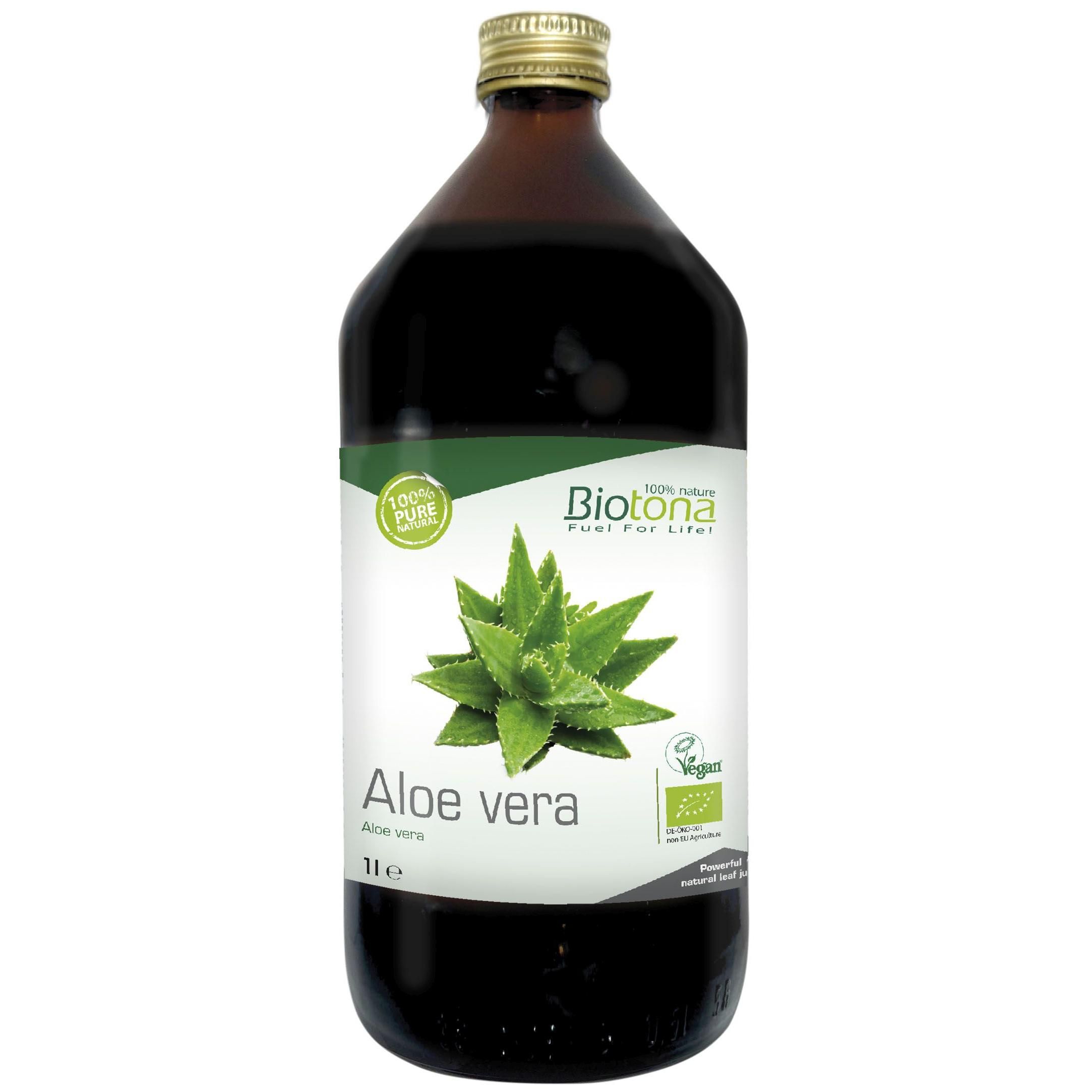 Detail Aloe Vera Jugo Nomer 20