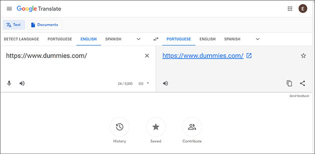 Detail Gambar Google Translate Nomer 16