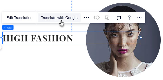 Detail Gambar Google Translate Nomer 34