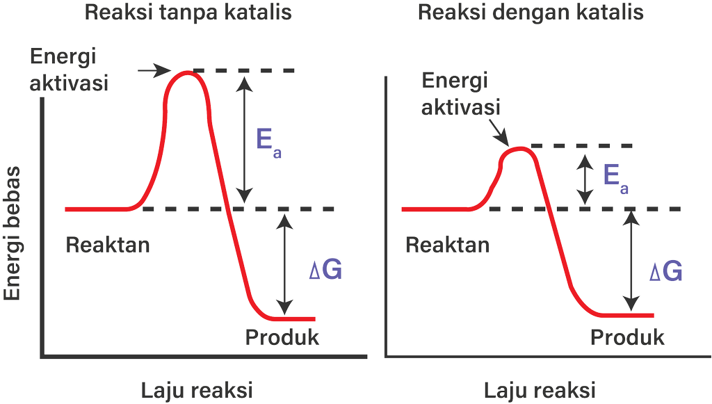 Detail Gambar Grafik Eksoterm Nomer 14