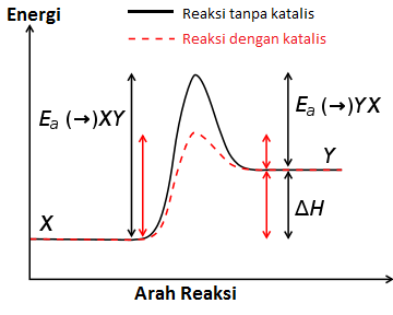 Detail Gambar Grafik Eksoterm Nomer 15