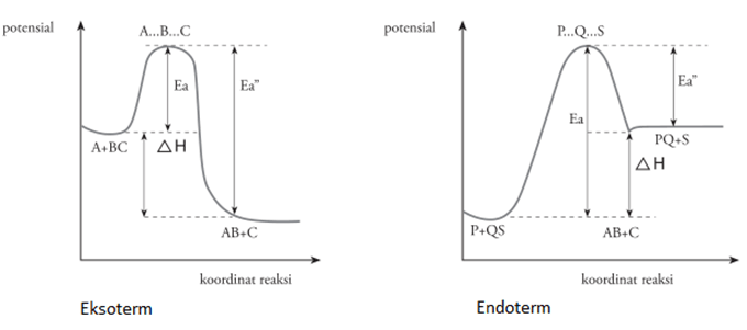 Detail Gambar Grafik Eksoterm Nomer 39