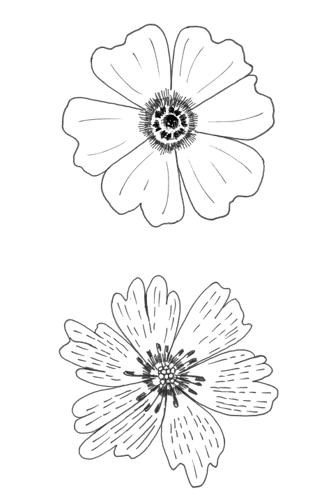 Detail Gambar Grafis Bunga Nomer 2