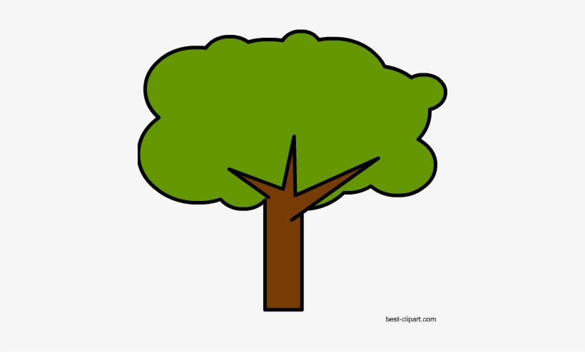 Detail Oak Tree Clipart Png Nomer 11