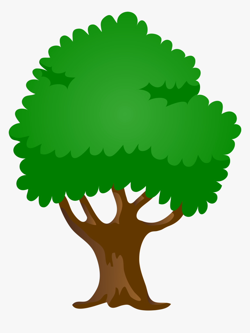 Detail Oak Tree Clipart Png Nomer 4