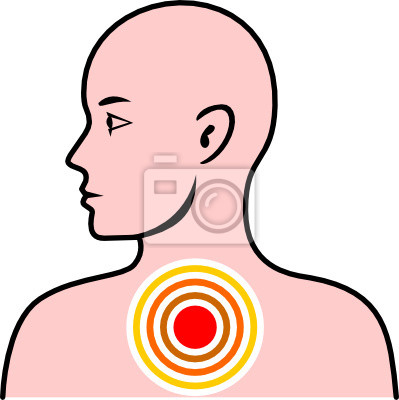 Detail Anatomie Hals Nomer 15