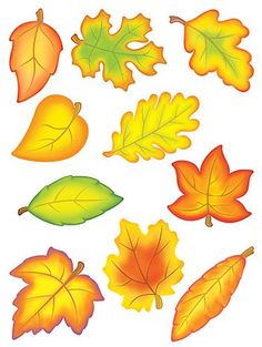 Detail Geburtstags Blumen Herbst Nomer 23