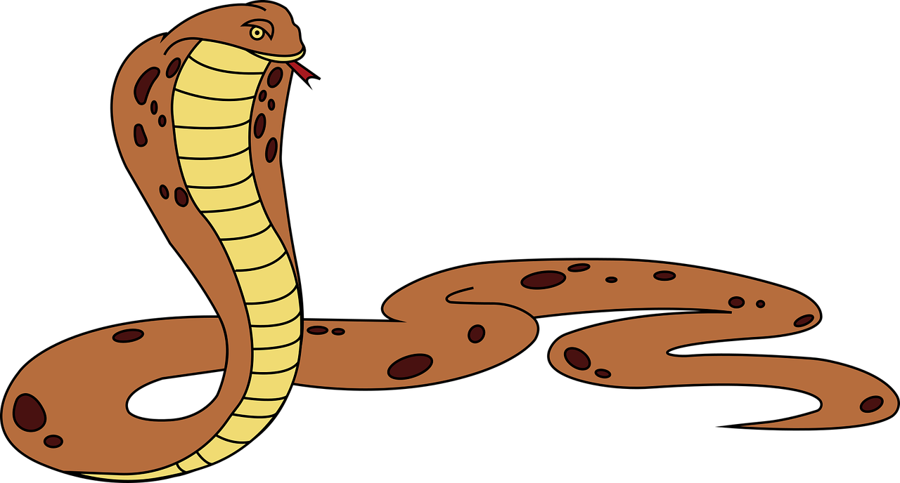 Detail Schlange Kobra Nomer 8