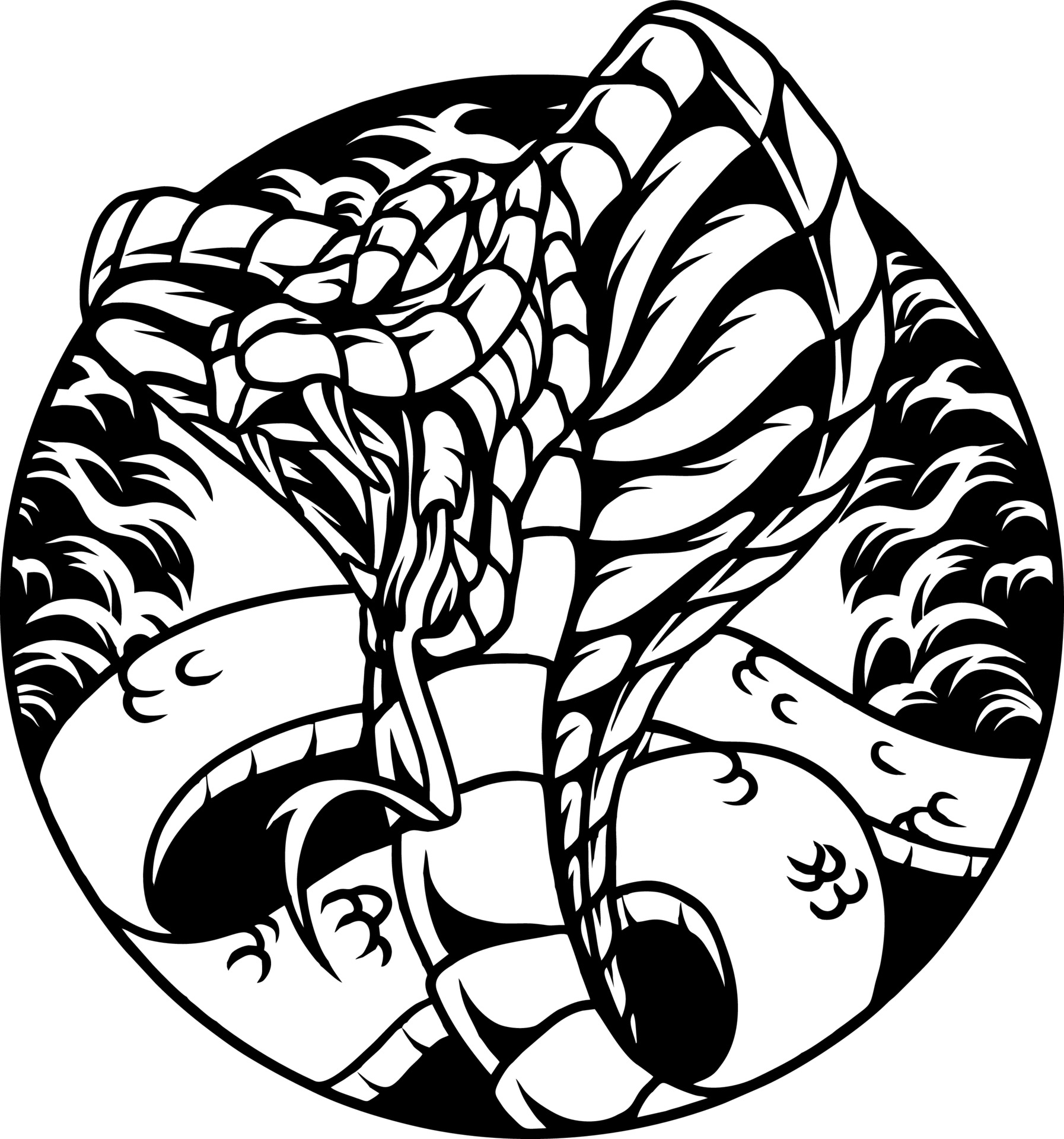 Detail Schlange Kobra Nomer 22