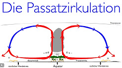 Detail Zelle Unbeschriftet Nomer 9