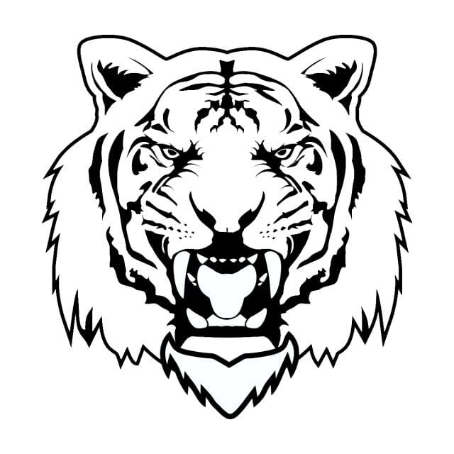 Detail Angry Tiger Png Nomer 16