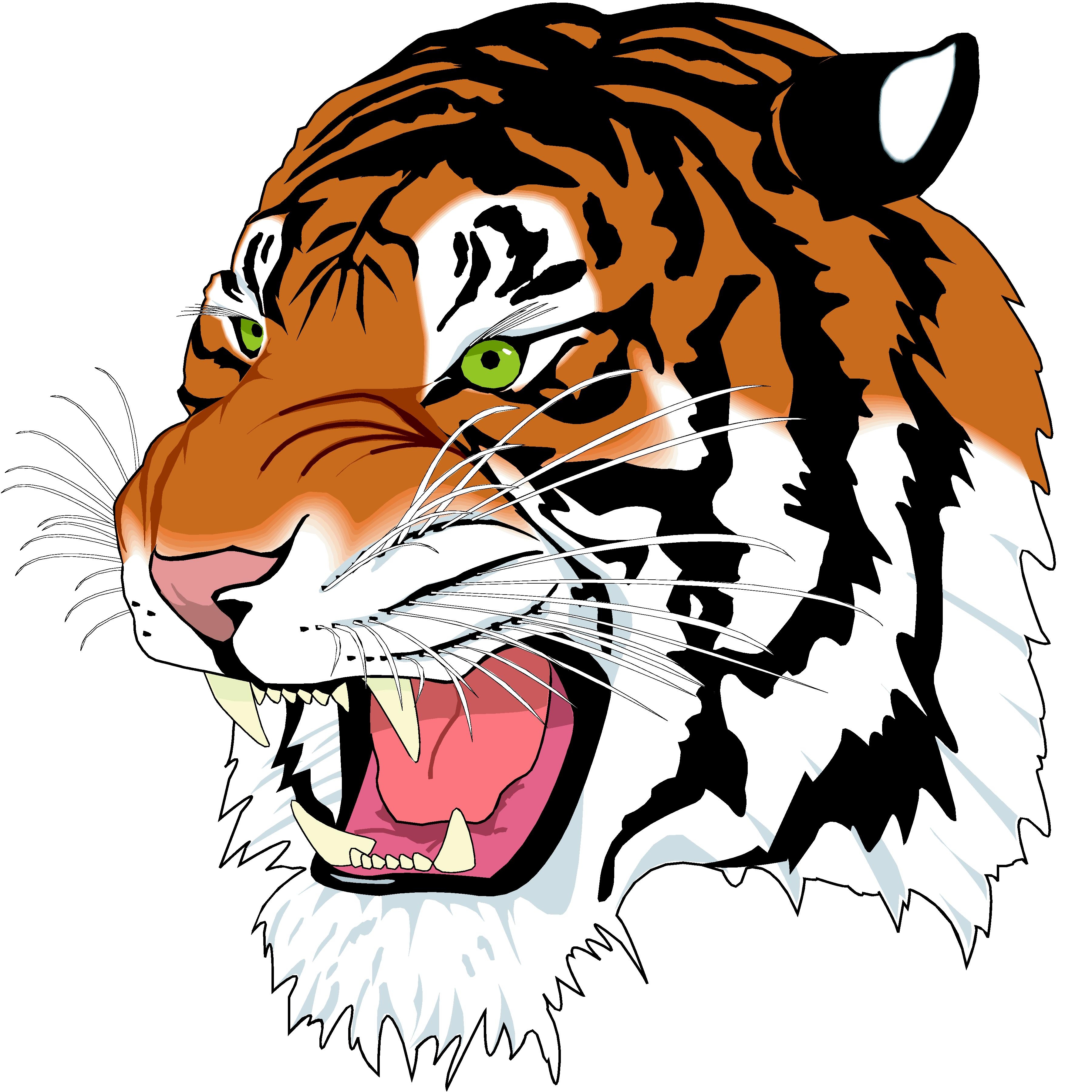 Detail Angry Tiger Png Nomer 9